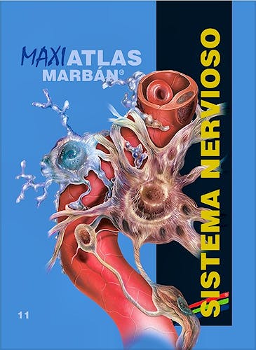 Portada del libro 9788417184155 Maxi Atlas, Vol. 11: Sistema Nervioso