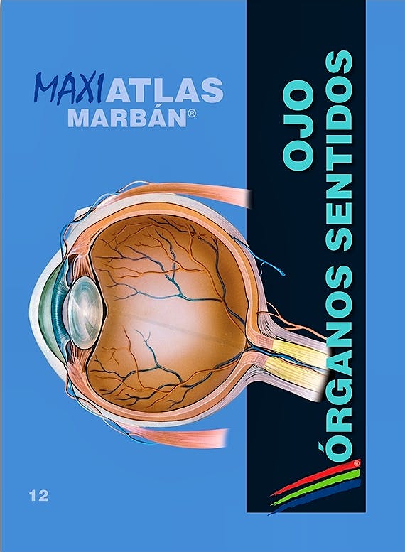 Portada del libro 9788417184162 Maxi Atlas, Vol. 12: Ojo. Órganos de los Sentidos