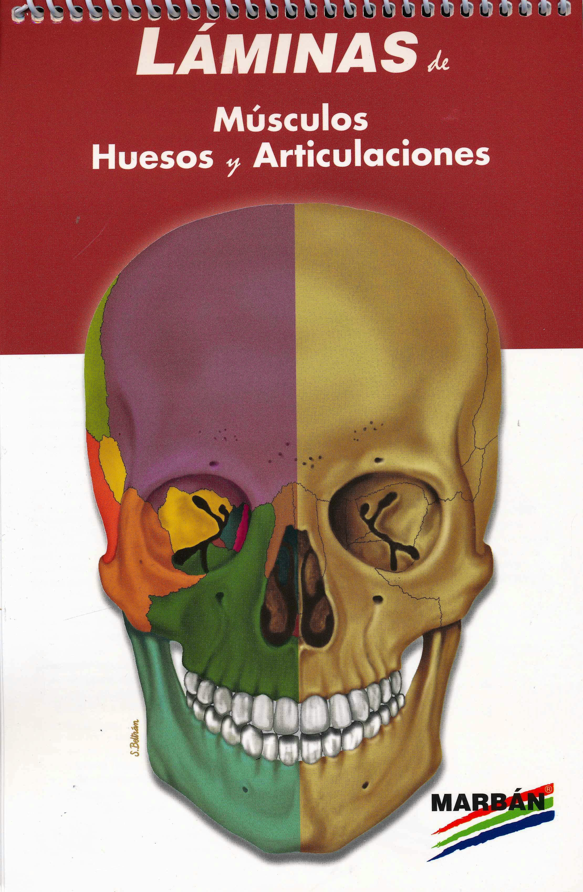 Portada del libro 9788417184889 Espiral Músculos, Huesos y Articulaciones