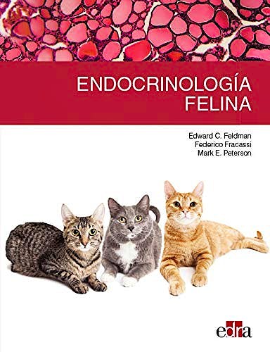Portada del libro 9788417640583 Endocrinología Felina