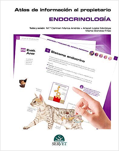 Portada del libro 9788418020247 Atlas de Información al Propietario. Endocrinología