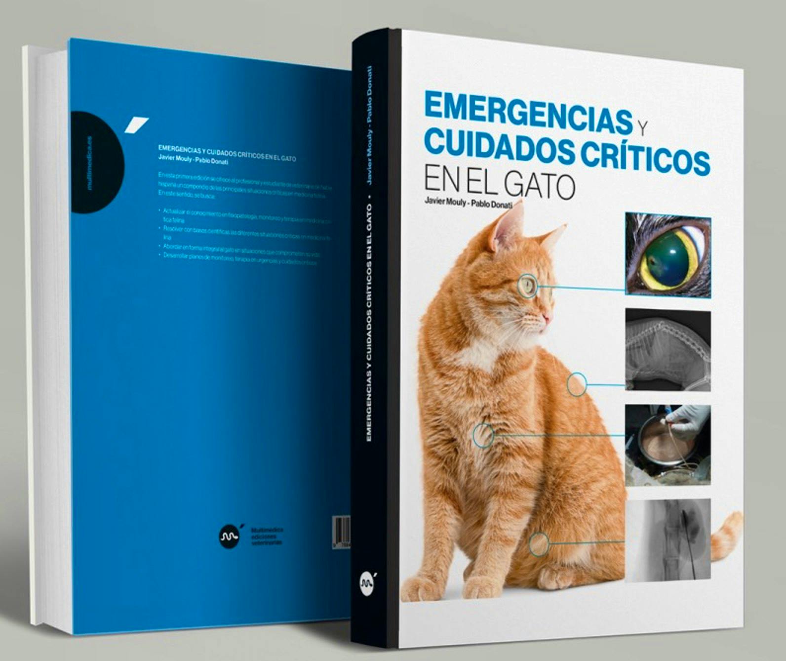 Portada del libro 9788418636356 Emergencias y Cuidados Críticos en el Gato