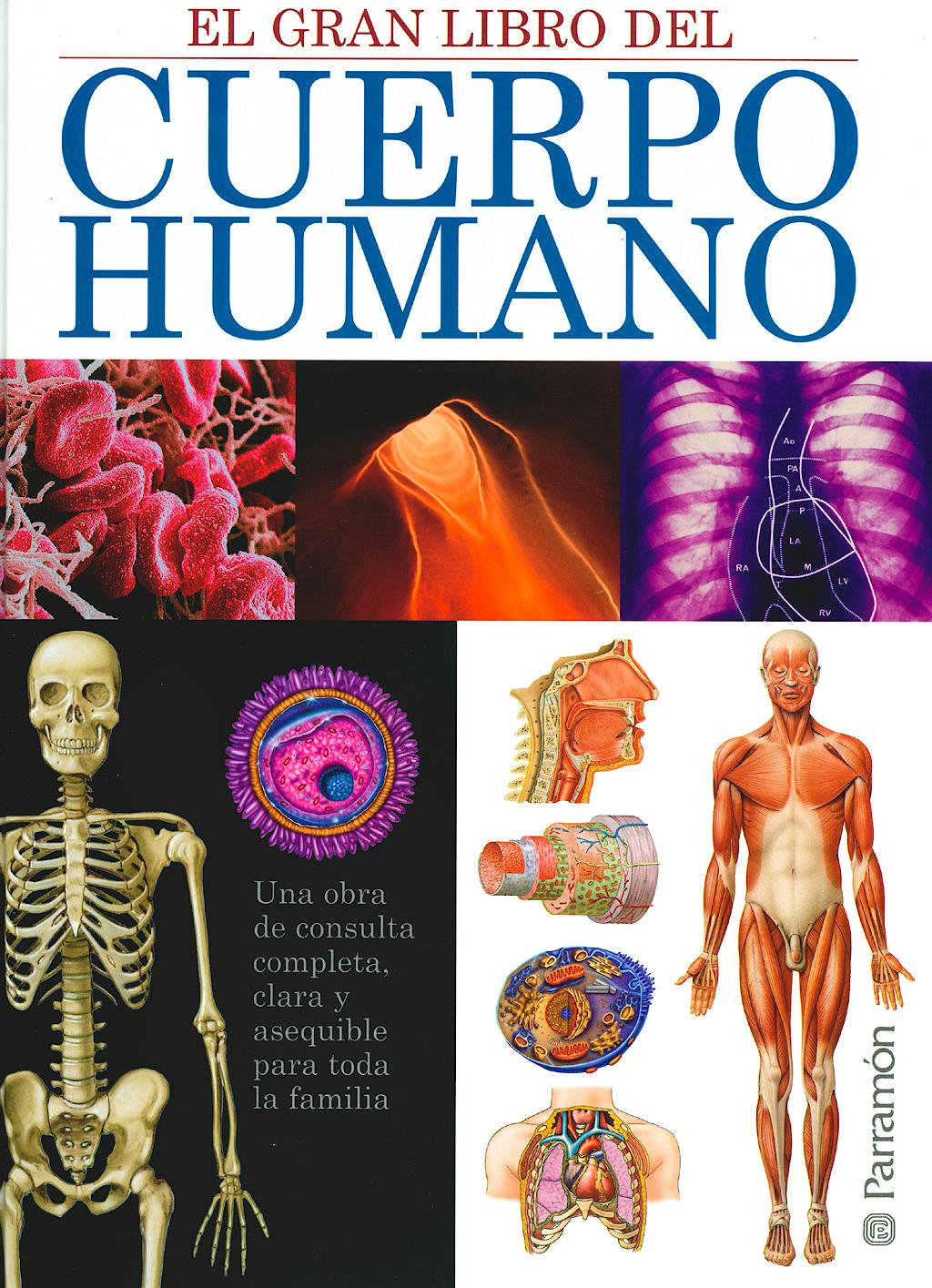 El Gran Libro Del Cuerpo Humano 9788434228689 Borras L Axones 