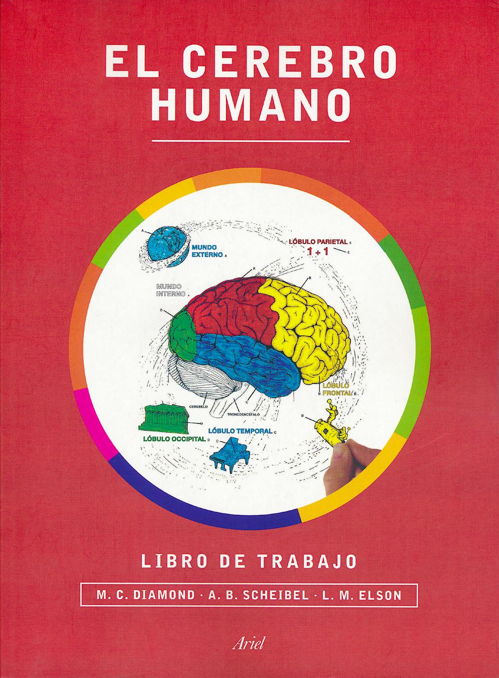 Portada del libro 9788434417212 El Cerebro Humano. Libro de Trabajo