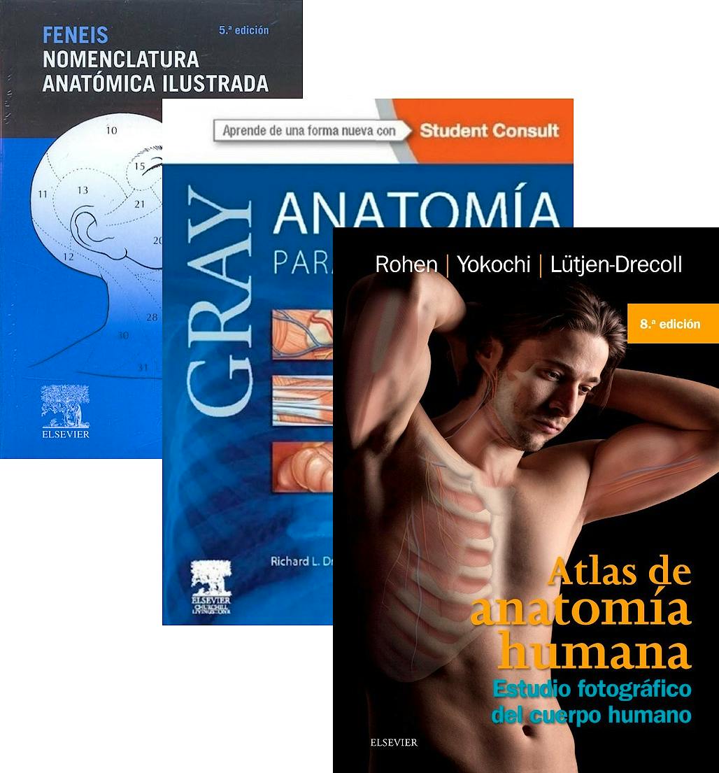 Portada del libro 9788445826850 Lote Gray Anatomía para Estudiantes + Feneis Nomenclatura Anatómica Ilustrada + Atlas de Anatomía Humana