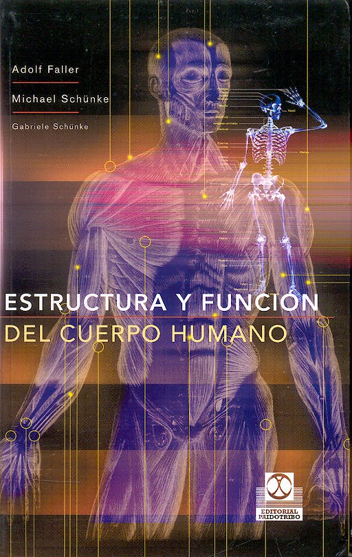 Portada del libro 9788480198677 Estructura y Funcion del Cuerpo Humano