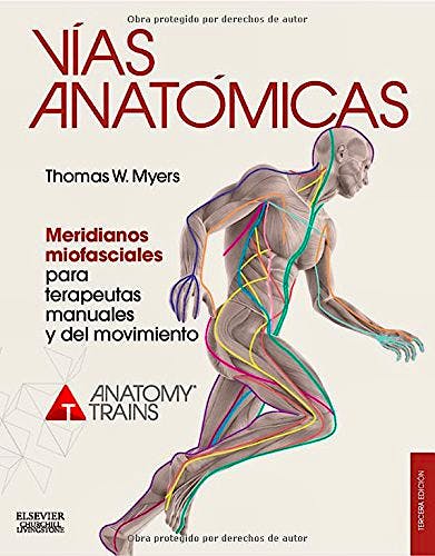 Portada del libro 9788490228111 Vías Anatómicas. Meridianos Miofasciales para Terapeutas Manuales y del Movimiento