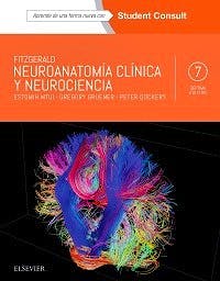 Portada del libro 9788491131021 Fitzgerald Neuroanatomía Clínica y Neurociencia + Acceso Online