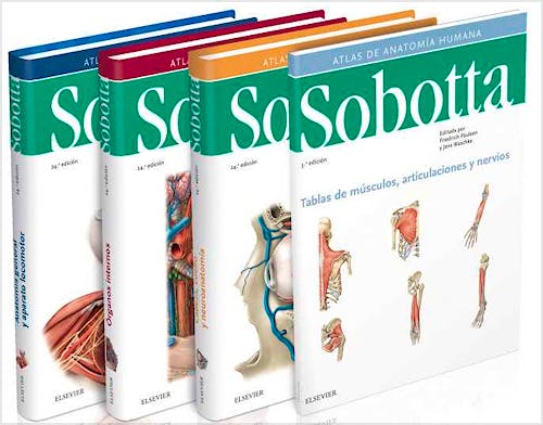 Portada del libro 9788491133933 Lote Sobotta Atlas de Anatomía Humana, 3 Vols.