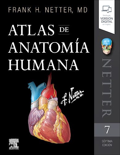 Portada del libro 9788491134688 NETTER Atlas de Anatomía Humana