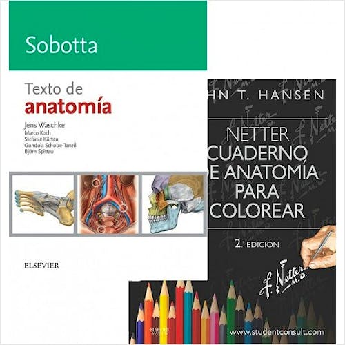 Portada del libro 9788491136156 Lote Netter Cuaderno de Anatomía para Colorear + Sobotta Texto de Anatomía