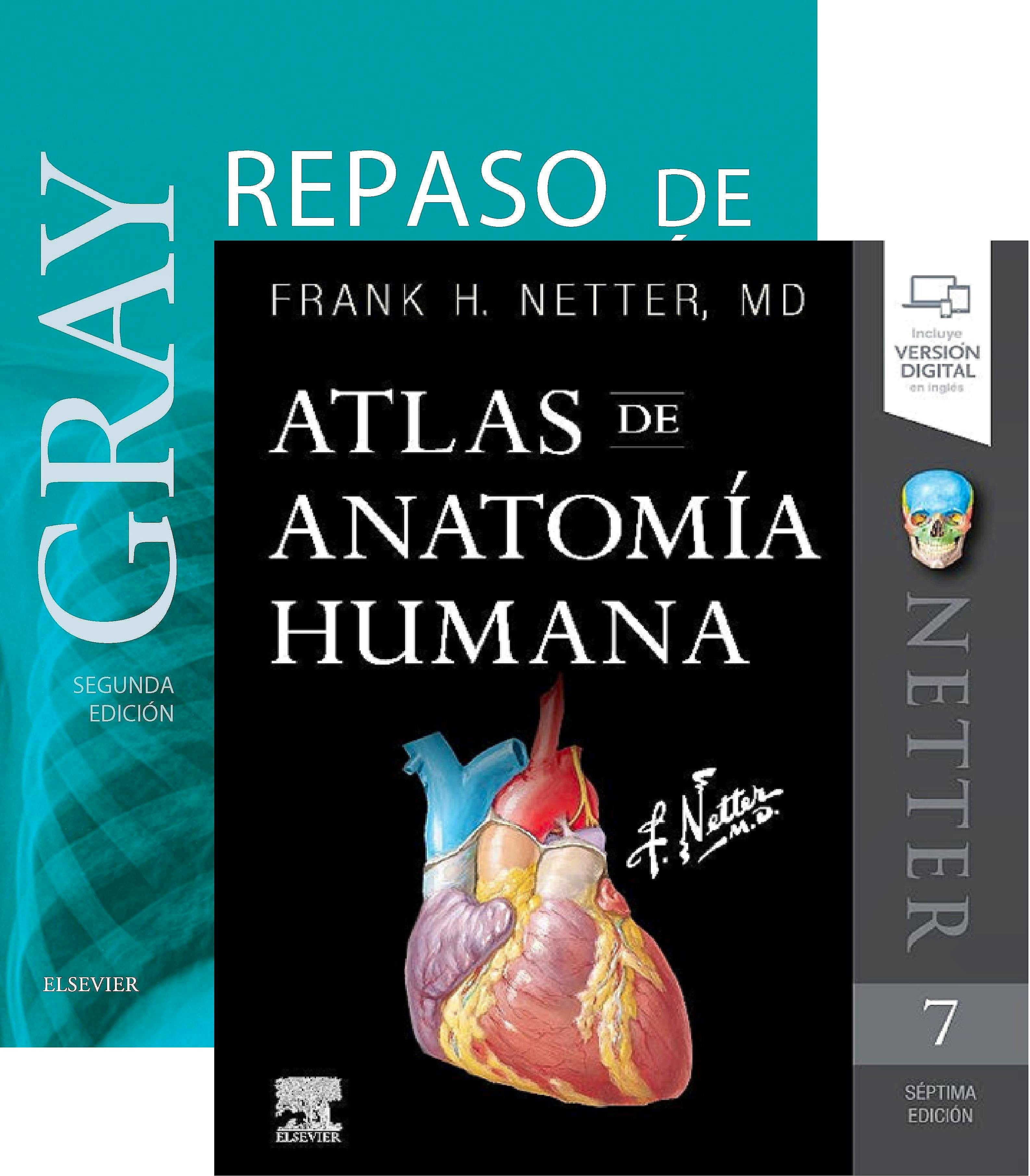Portada del libro 9788491136170 Lote Gray Repaso de Anatomía + Netter Atlas de Anatomía Humana