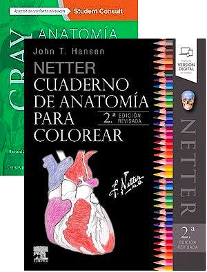 Lote Gray Anatomia Basica Netter Cuaderno De Anatomia Para Colorear 9788491136262 Lote Mini Drake Hansen Axon Es