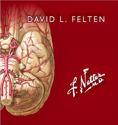 Netter Flashcards de Neurociencia