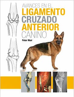 Portada del libro 9788496344389 Avances en el Ligamento Cruzado Anterior Canino