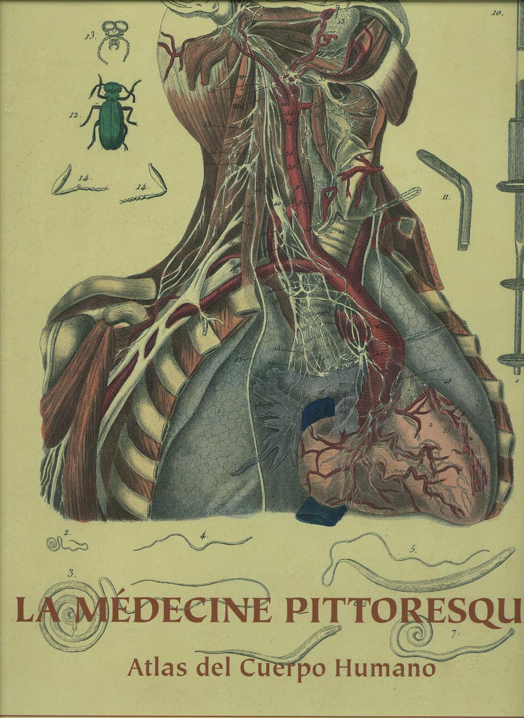 Portada del libro 9788496449961 La Medecine Pittoresque. Atlas del Cuerpo Humano