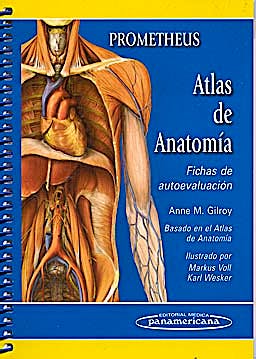 Portada del libro 9788498353686 Fichas de Autoevaluación (Basado en el PROMETHEUS Atlas de Anatomía)