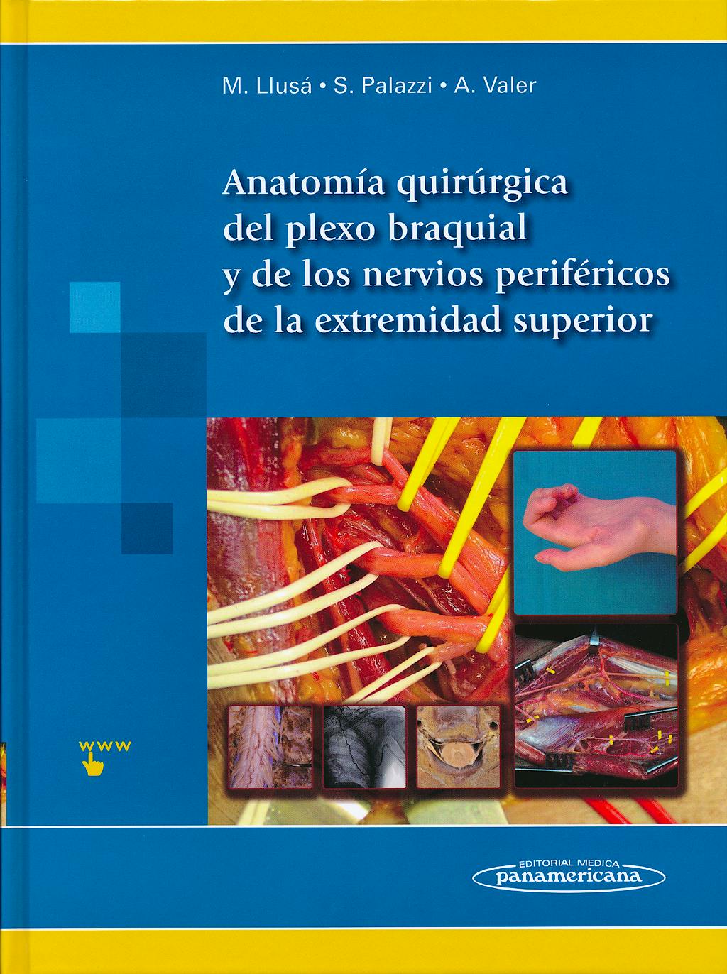 skandalakis anatomia quirurgica pdf descargar