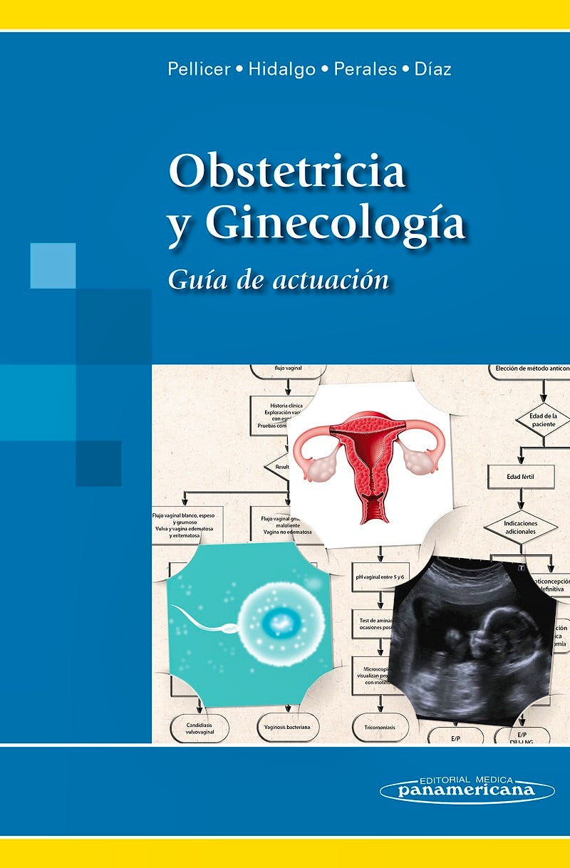 Portada del libro 9788498357561 Obstetricia y Ginecología. Guía de Actuación