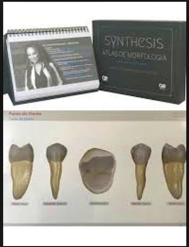 Portada del libro 9788578891473 Synthesis Atlas de Morfología (Edición en Español y Portugués)