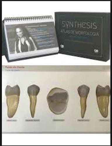 Portada del libro 9788578891473 Synthesis Atlas de Morfología (Edición en Español y Portugués)