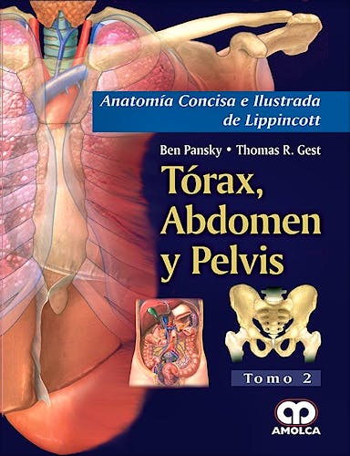 Portada del libro 9789588950174 Tórax, Abdomen y Pelvis (Anatomía Concisa e Ilustrada de Lippincott, Tomo 2)