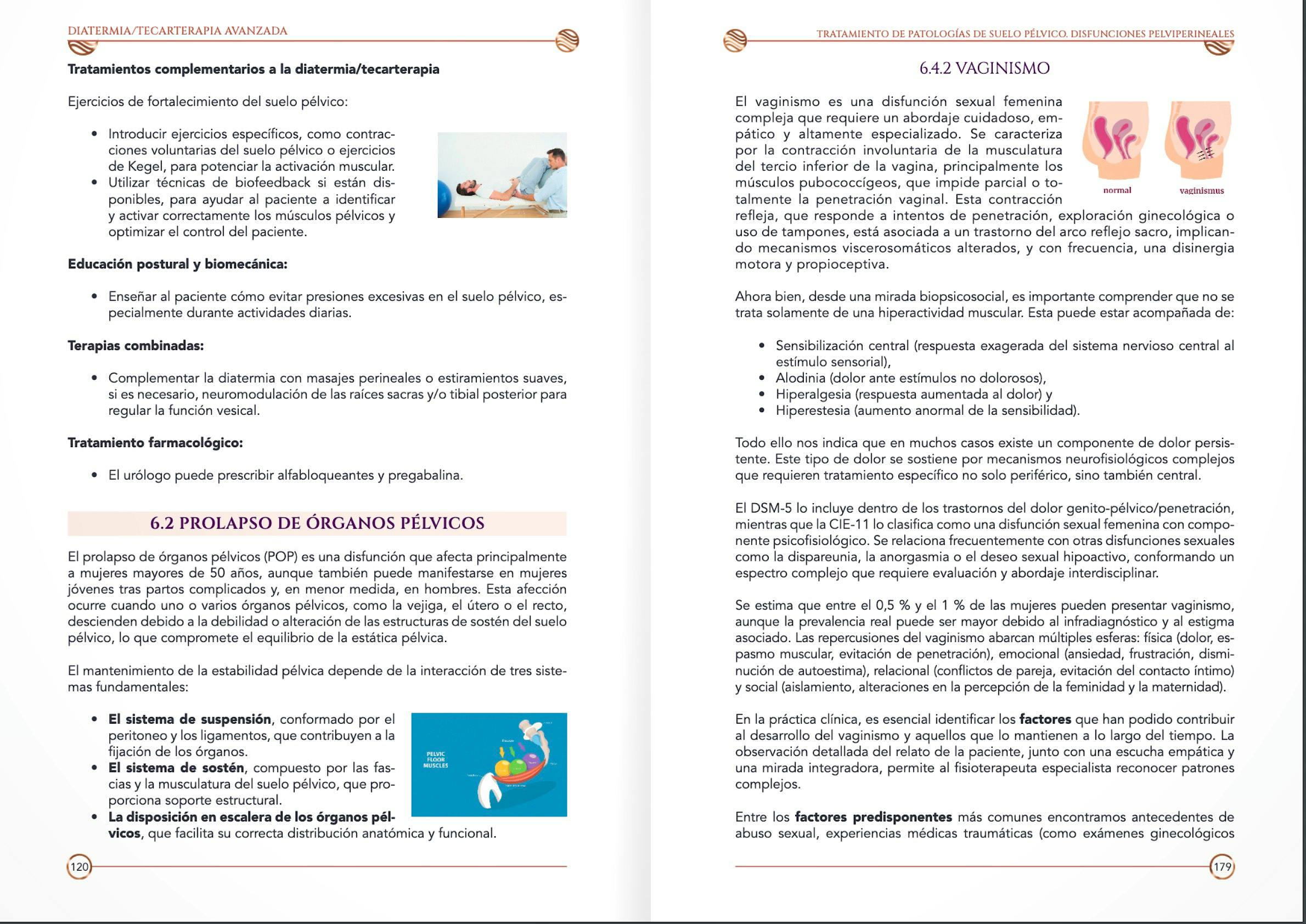 Portada del libro 9791399035834 DIATERMIA/TECARTERAPIA Avanzada. Tratamiento de Patologías del Suelo Pélvico. Disfunciones Pelviperineales